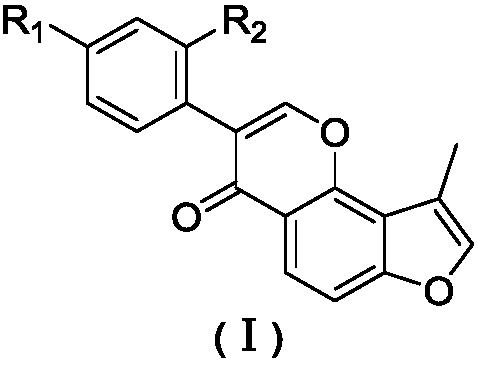 Substituted furan isoflavone derivatives and preparation method thereof