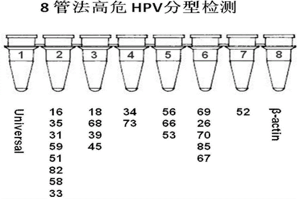 HPV detection kit