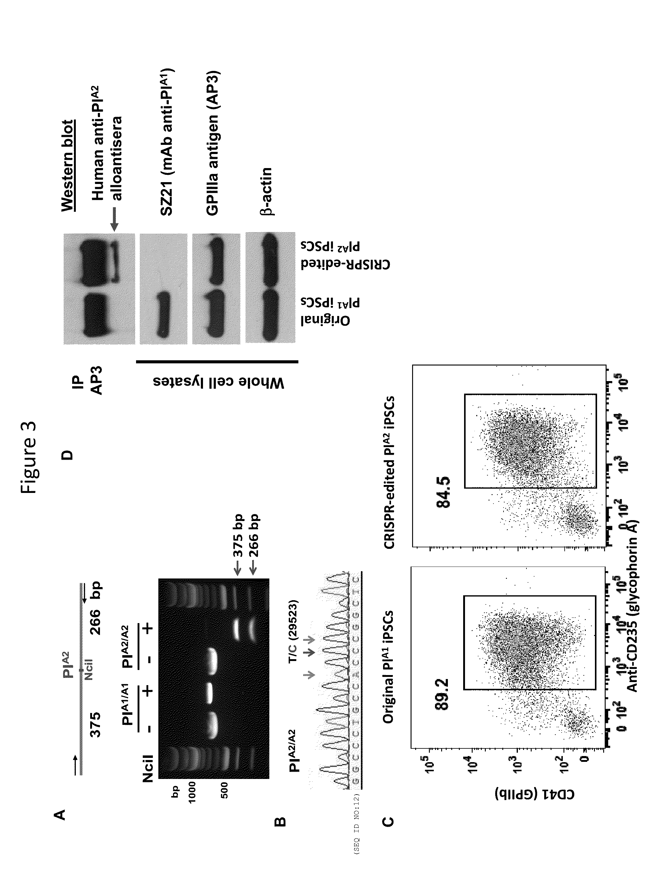 Method to bioengineer designer platelets using gene editing and stem cell methodologies