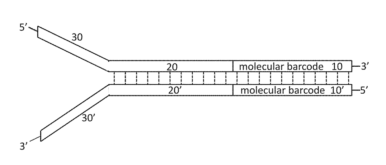 Nucleic acid sequencing adapters and uses thereof