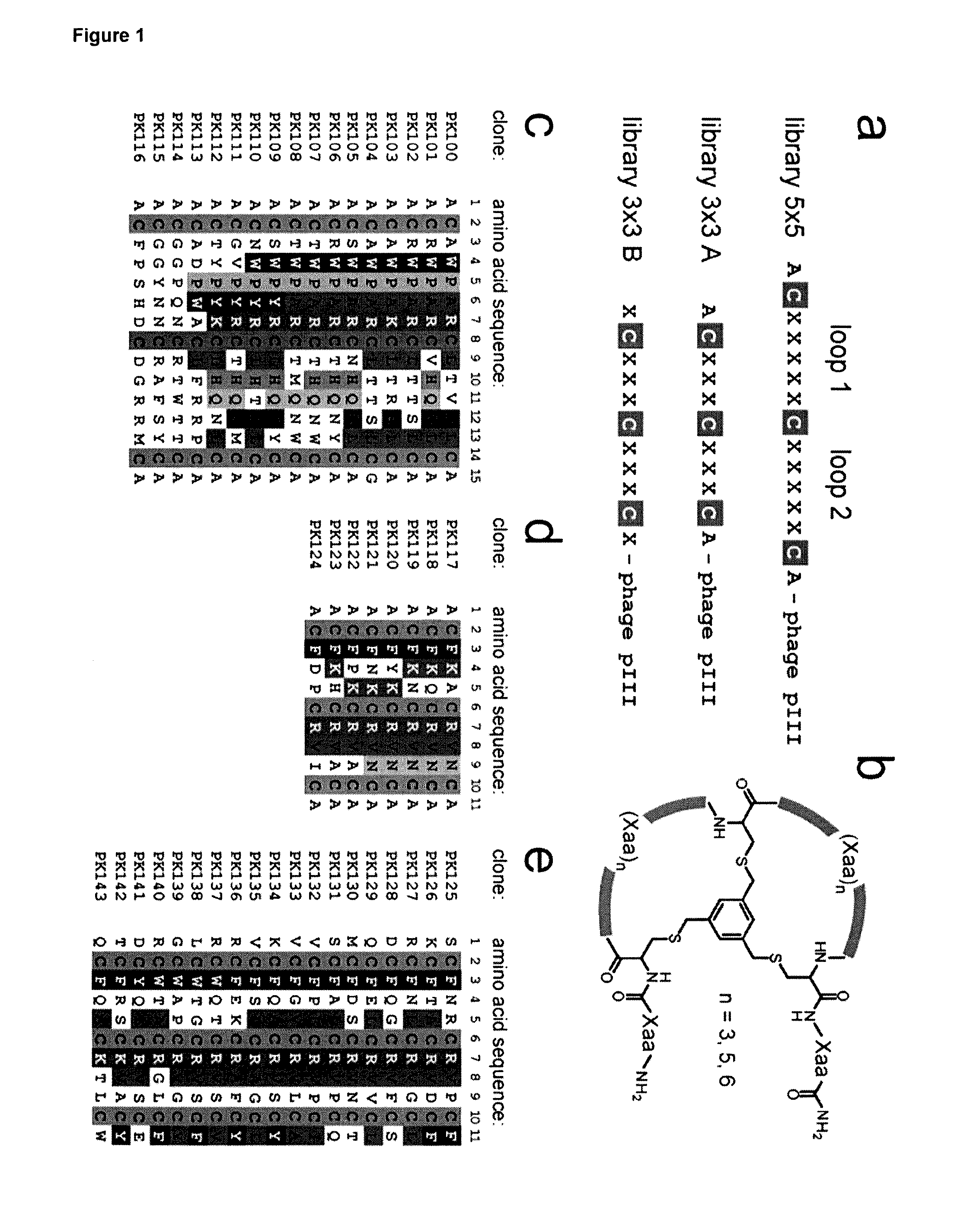 Modulation of structured polypeptide specificity