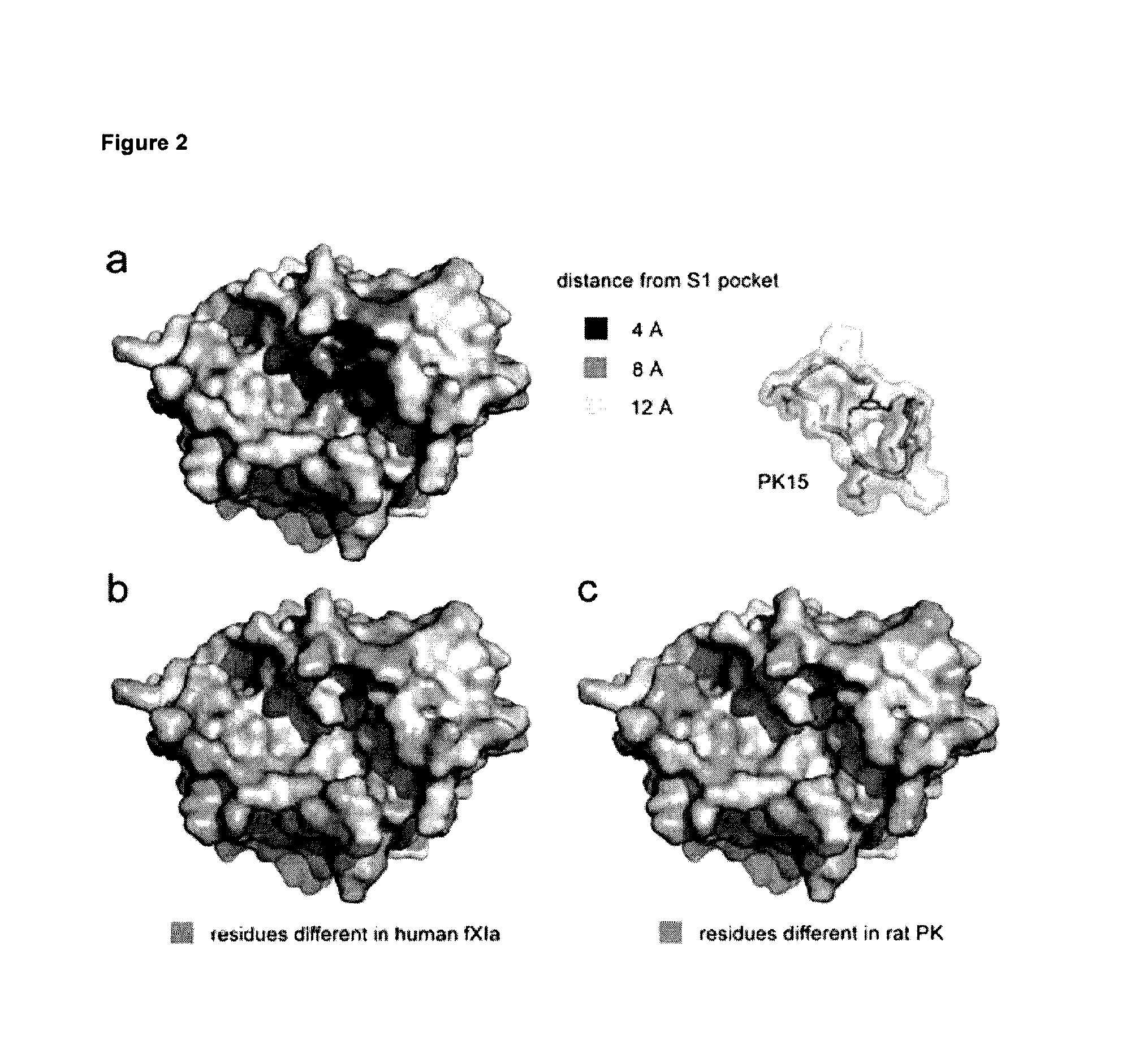 Modulation of structured polypeptide specificity