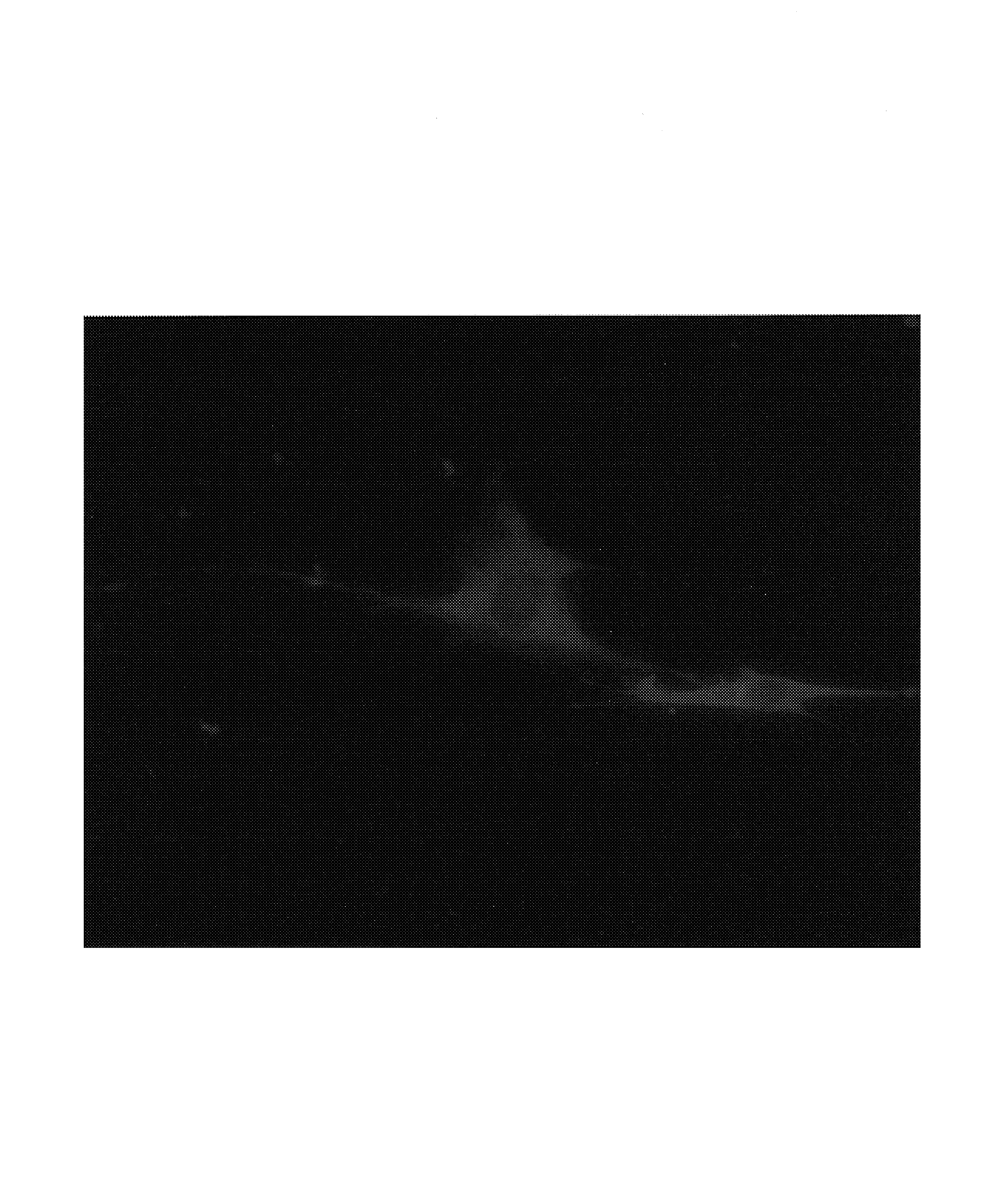 VHL peptide