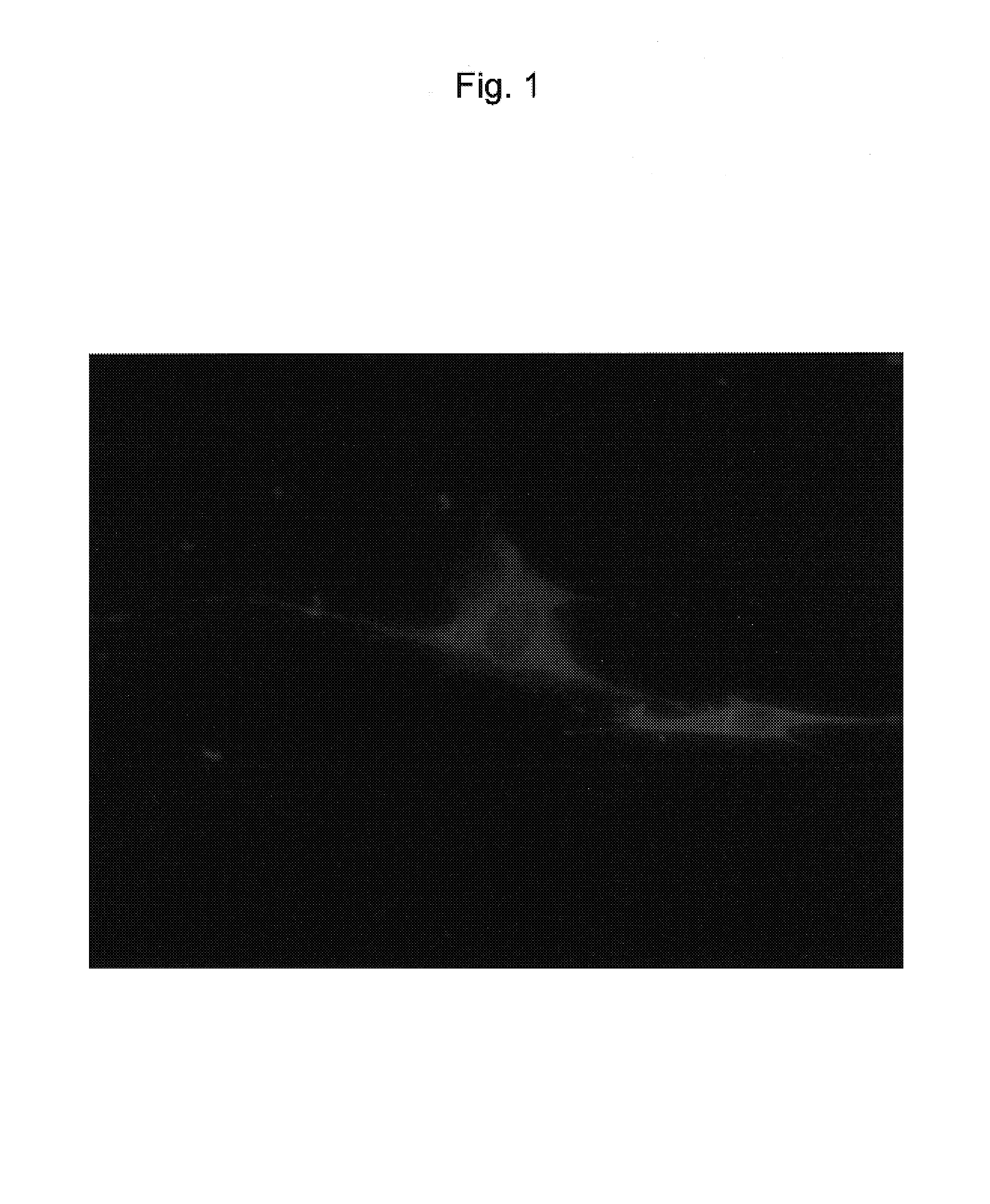 VHL peptide