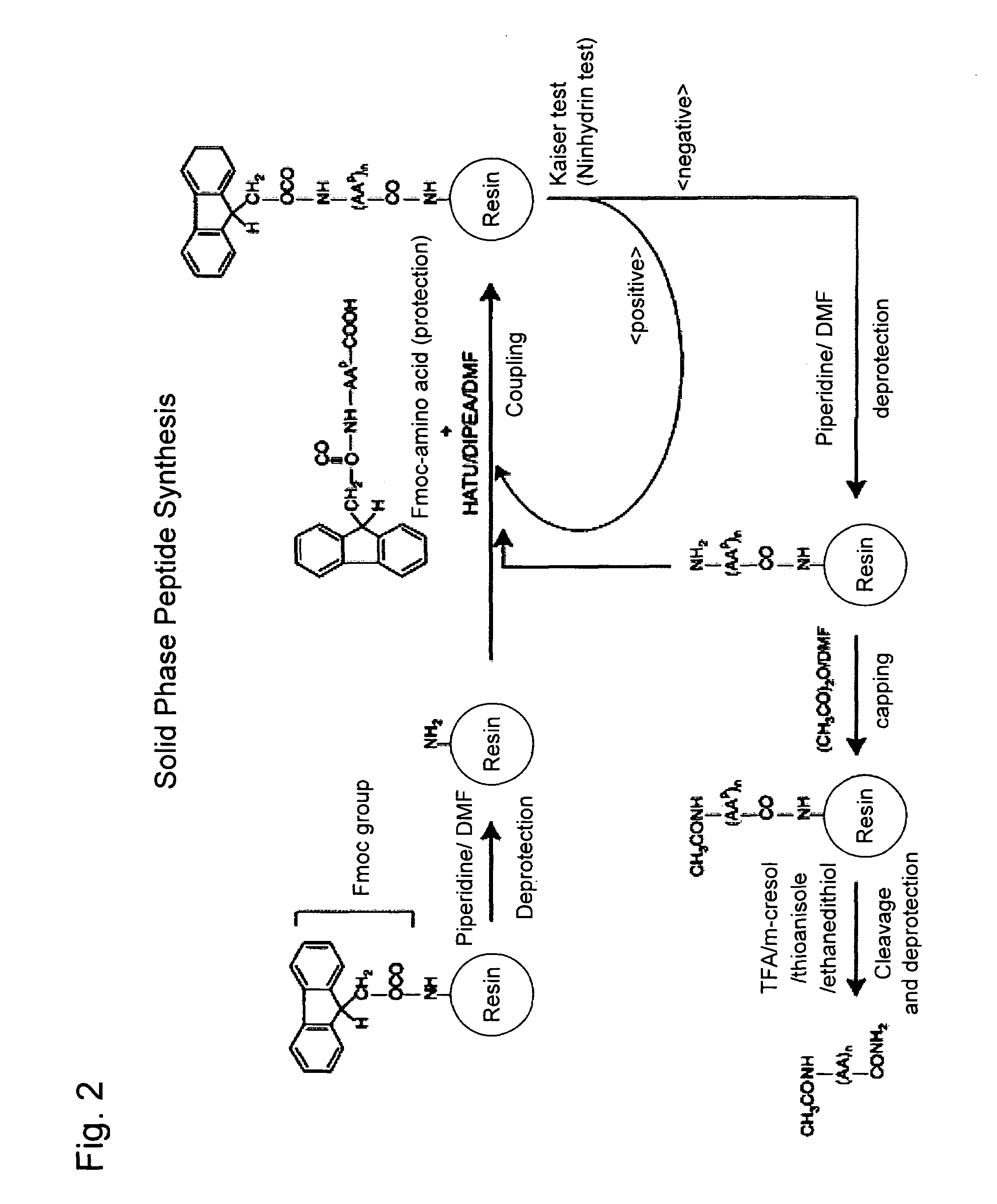 VHL peptide