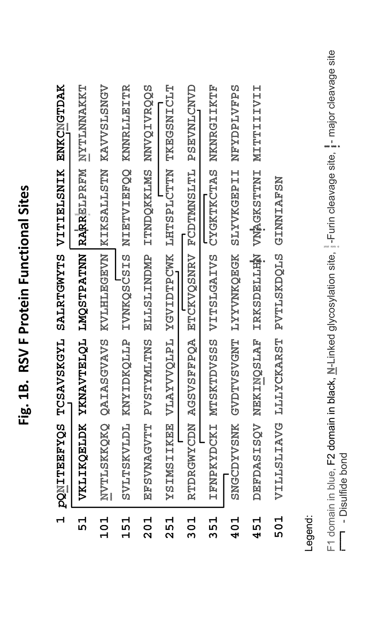 Vaccine compositions having improved stability and immunogenicity