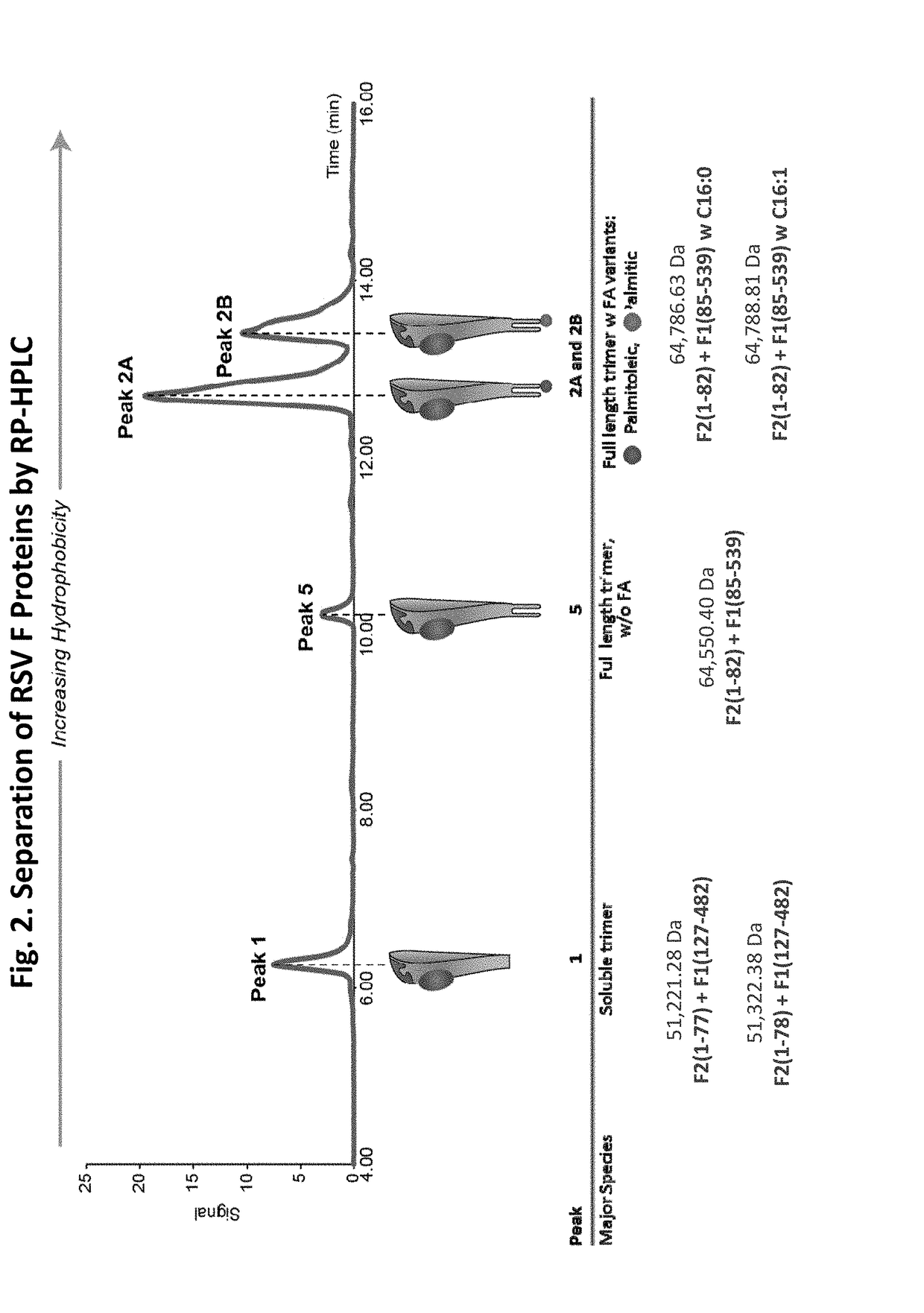 Vaccine compositions having improved stability and immunogenicity