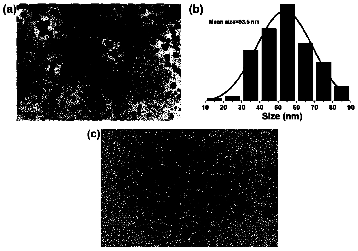A highly sensitive and decomposable quantum dot nanosphere probe and its preparation method