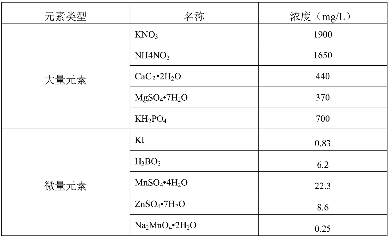 Ginseng and American ginseng cis-hybridization and trans-hybridization F1-generation young embryo rescue method