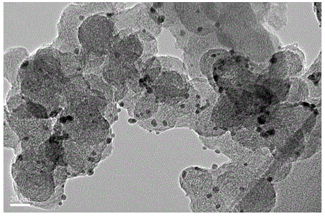 PdNiW/C ternary alloy nano catalyst and preparation method thereof