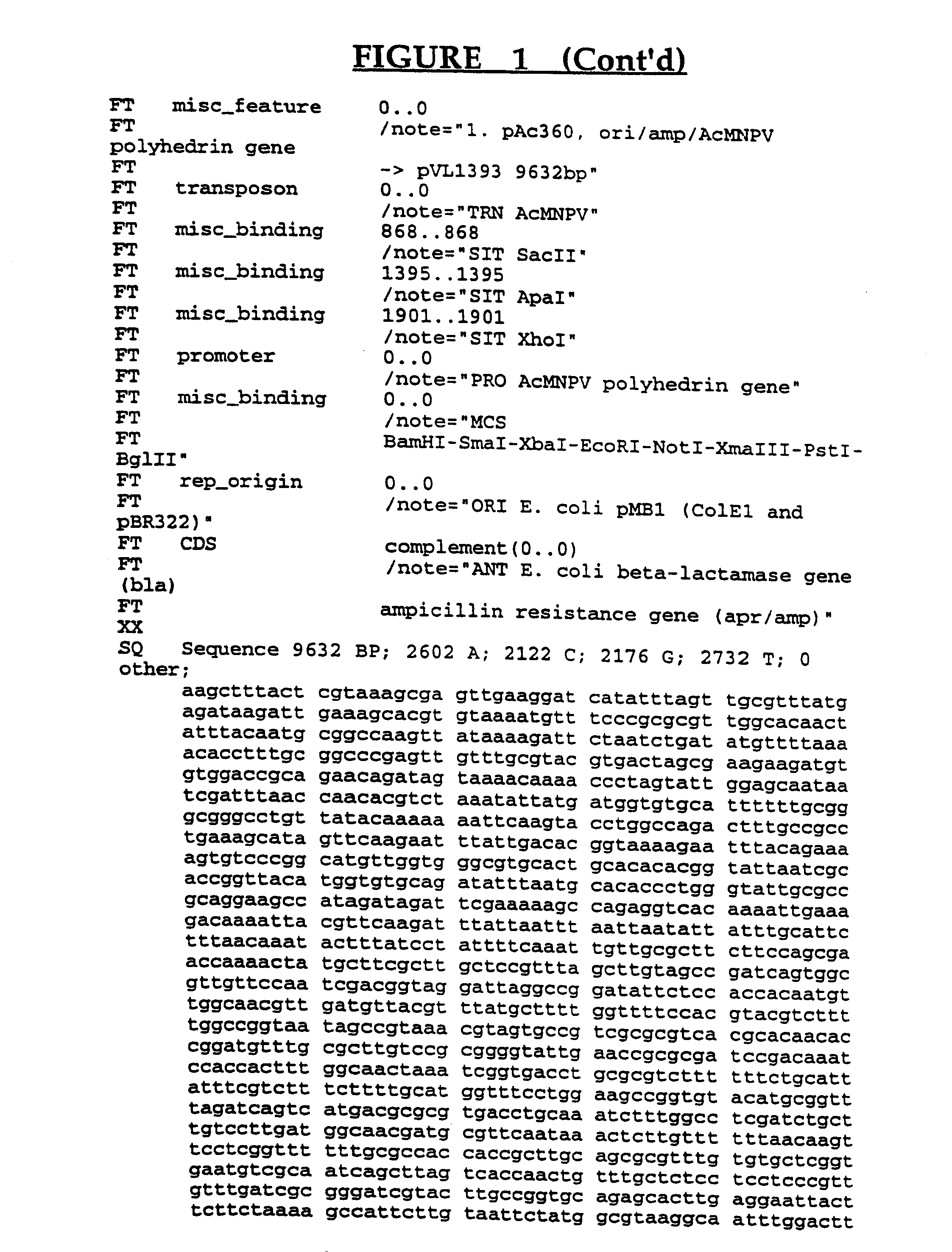 Ricin-like toxin variants for treatment of cancer, viral or parasitic infections