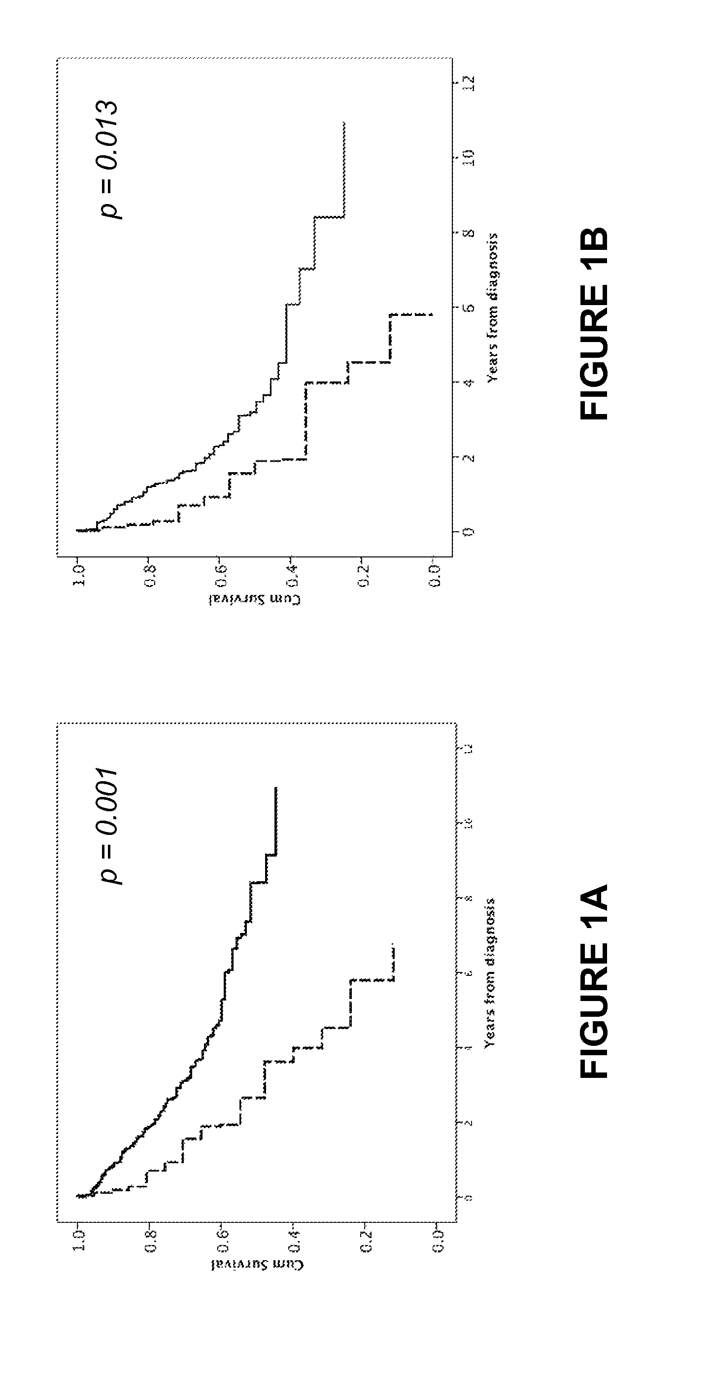 Epitopes derived from SATB2 and uses thereof