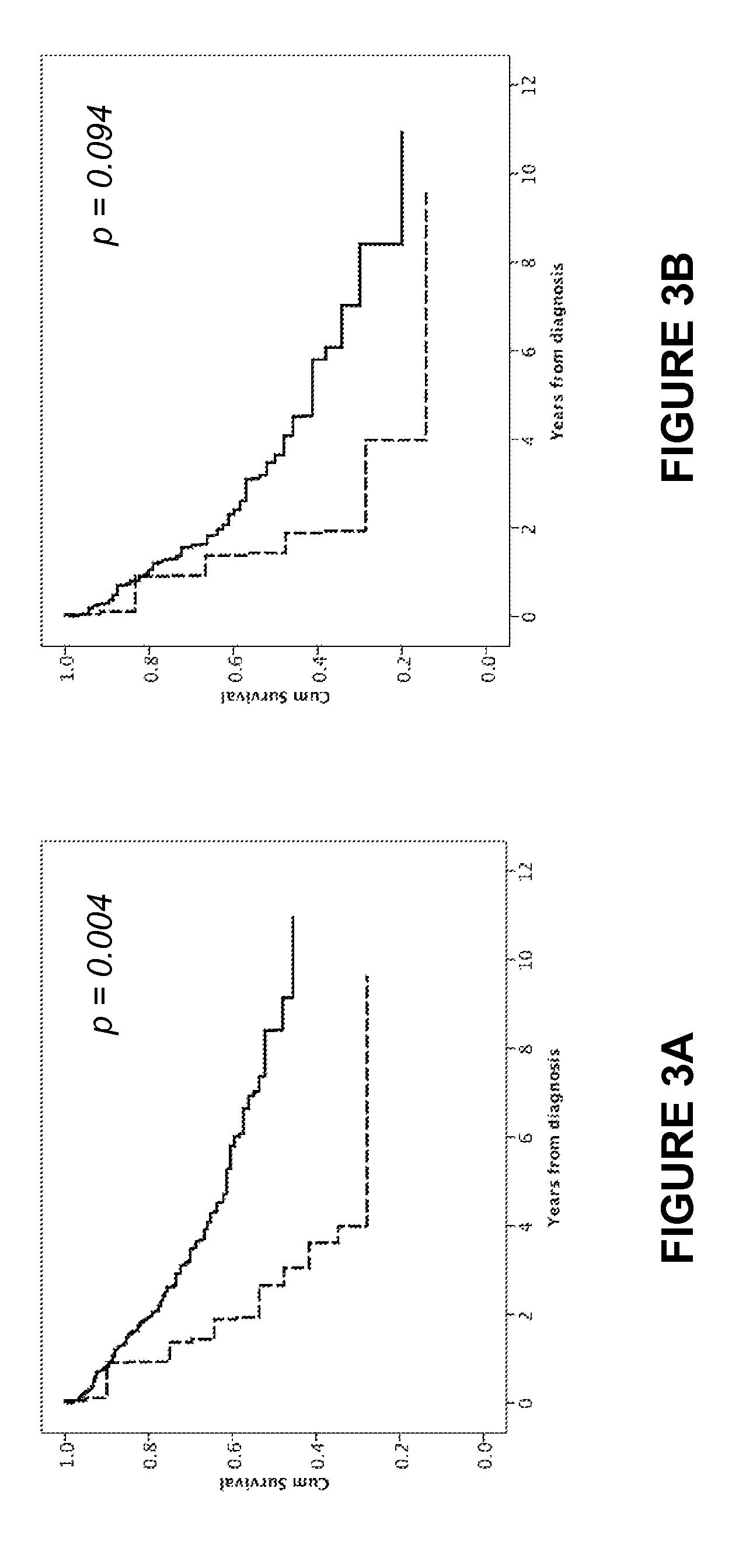 Epitopes derived from SATB2 and uses thereof