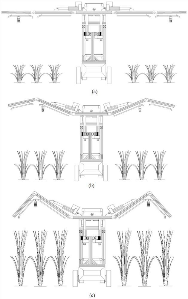 Mobile phenotypic information acquisition platform and method oriented to complete plant growth cycle