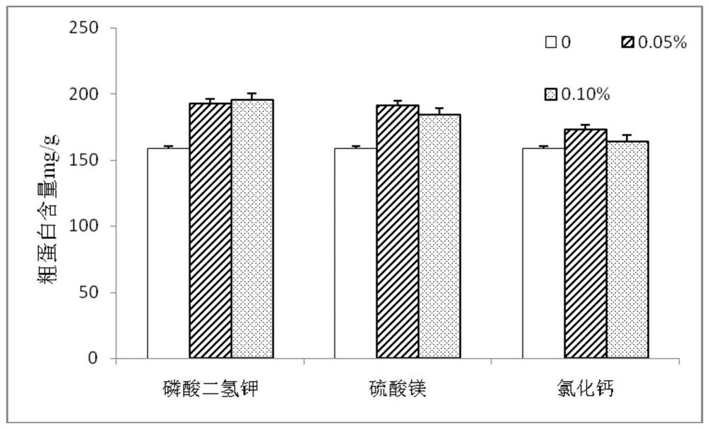 Protein mulberry leavening agent as well as preparation method and application thereof