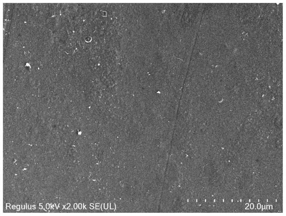 Hollow fiber heterogeneous membrane as well as preparation method and application thereof