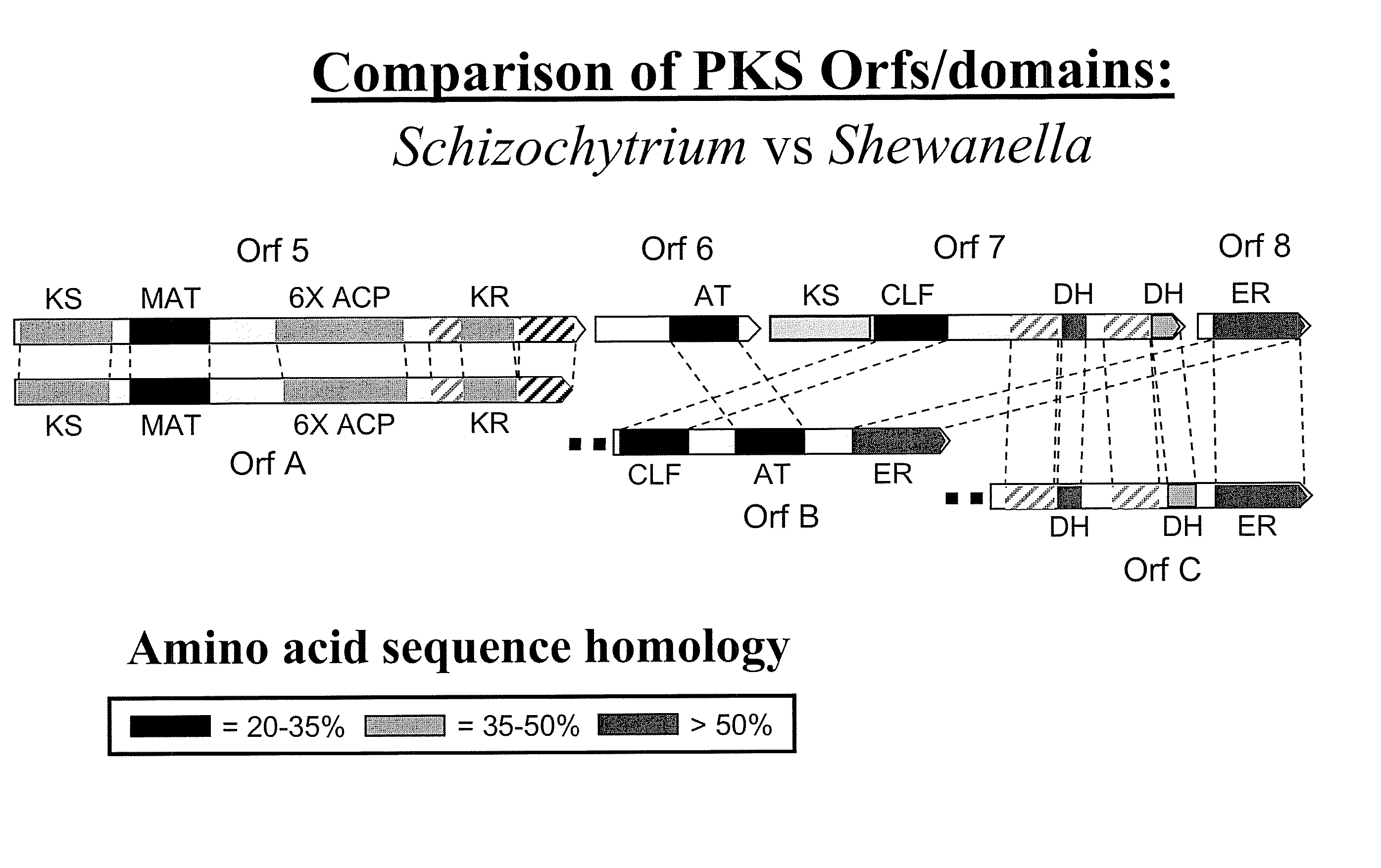 Pufa polyketide synthase systems and uses thereof