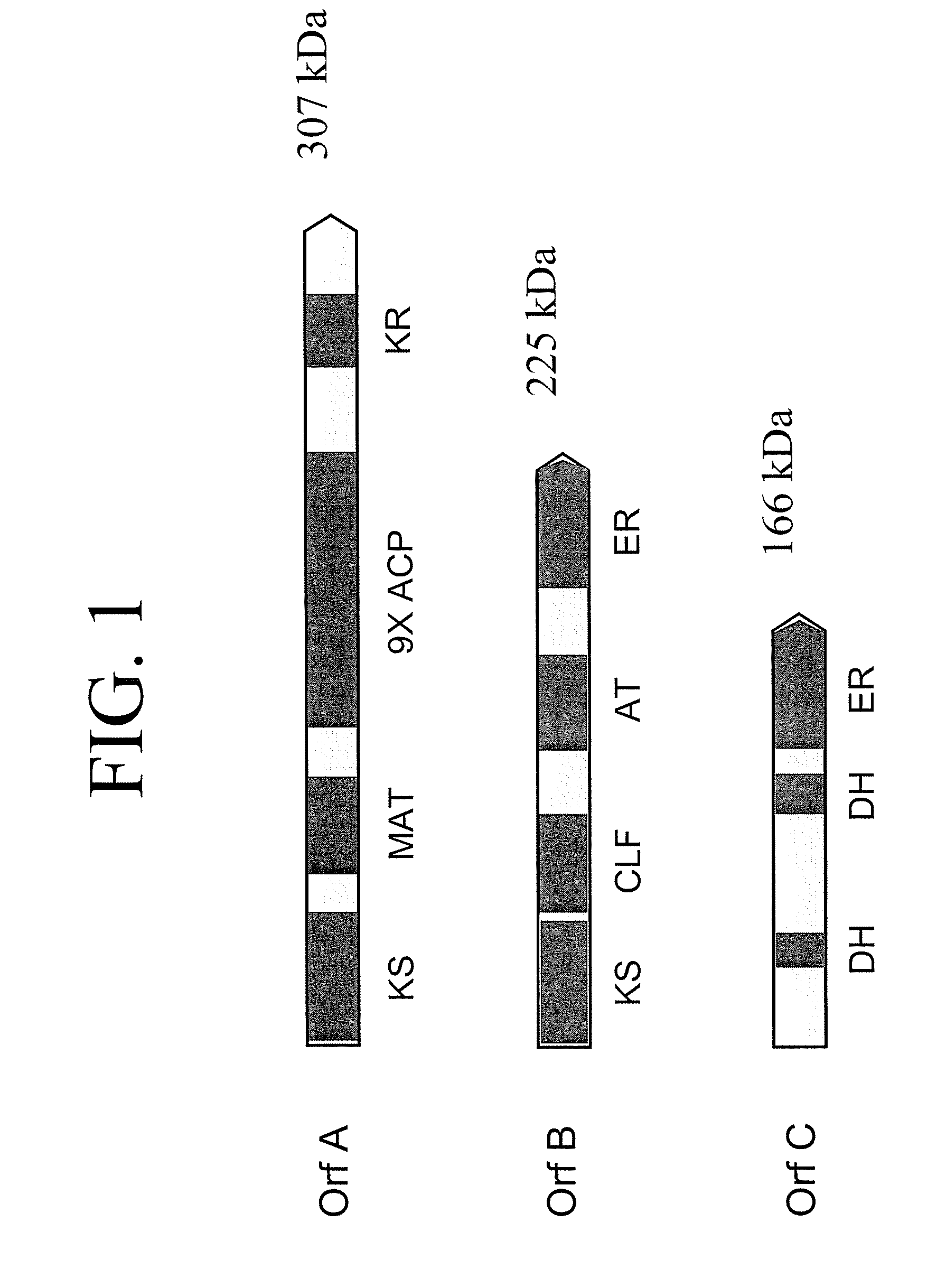 Pufa polyketide synthase systems and uses thereof