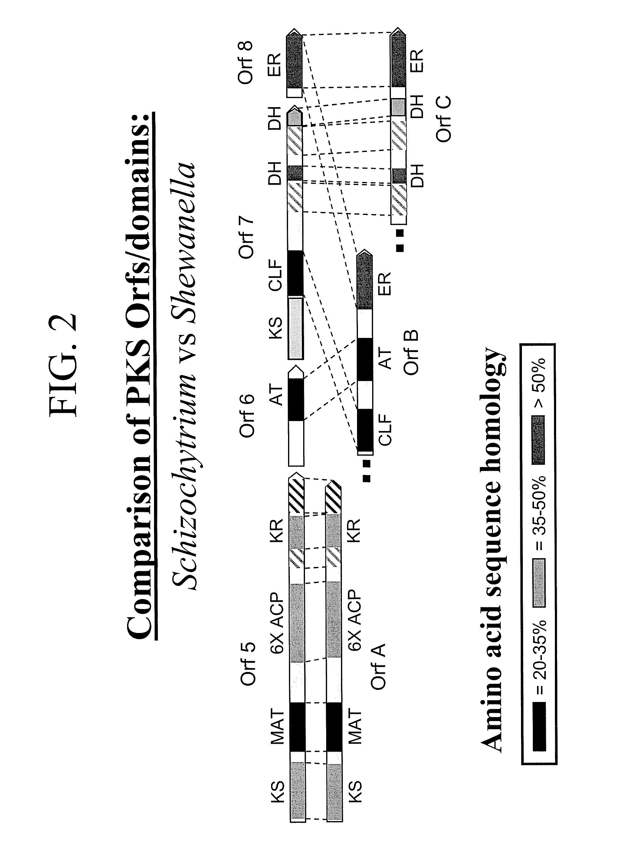 Pufa polyketide synthase systems and uses thereof