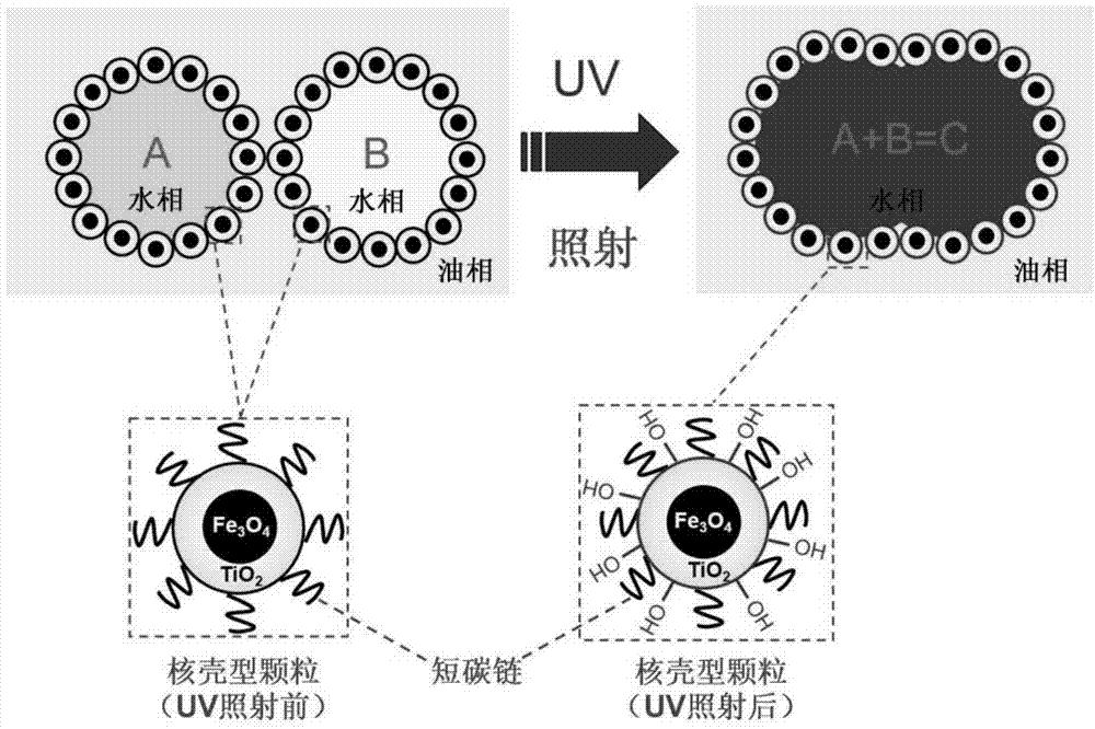 Photomagnetic dual-response Pickering emulsion coalescence reaction system and application thereof