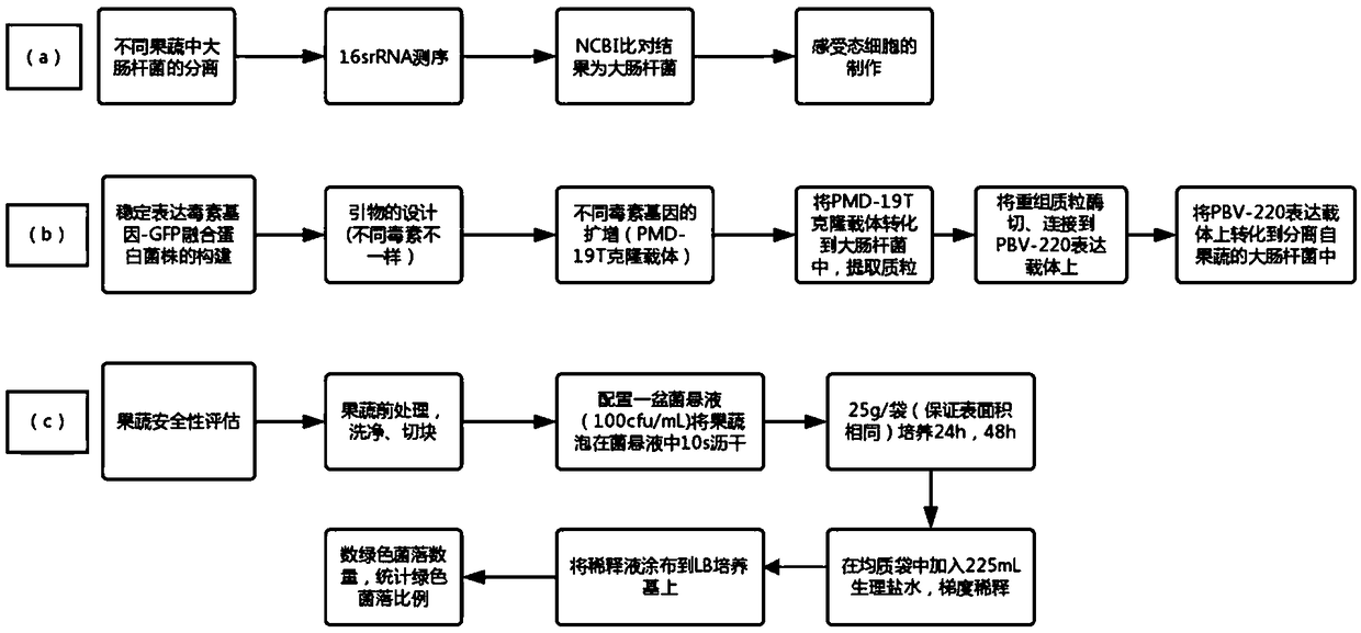 Evaluation method of safety of fruits and vegetables