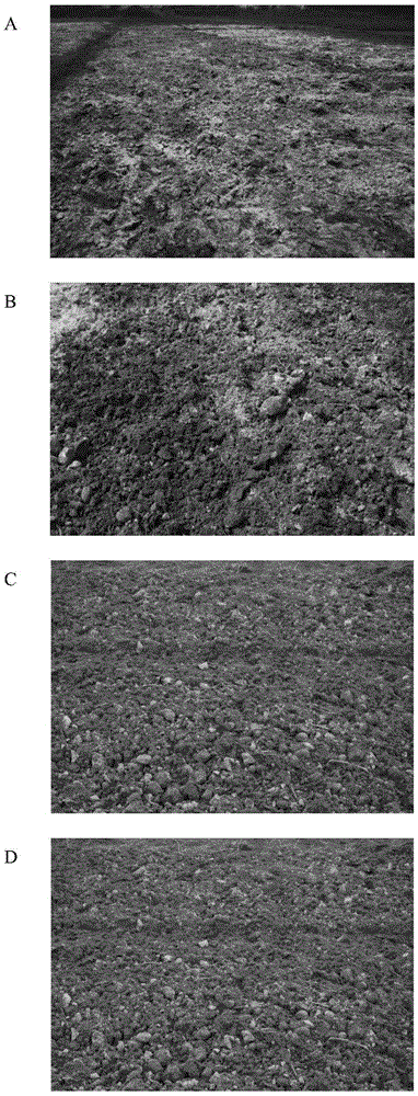 Method for in-situ remediation of heavy metal-contaminated soil