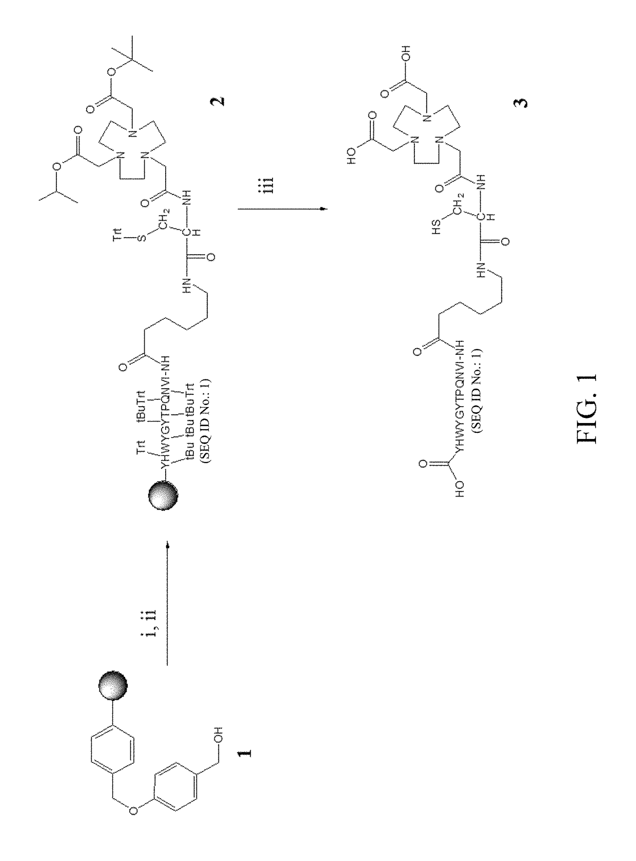 Bispecific peptide conjugate and radioactive bispecific peptide imaging agent