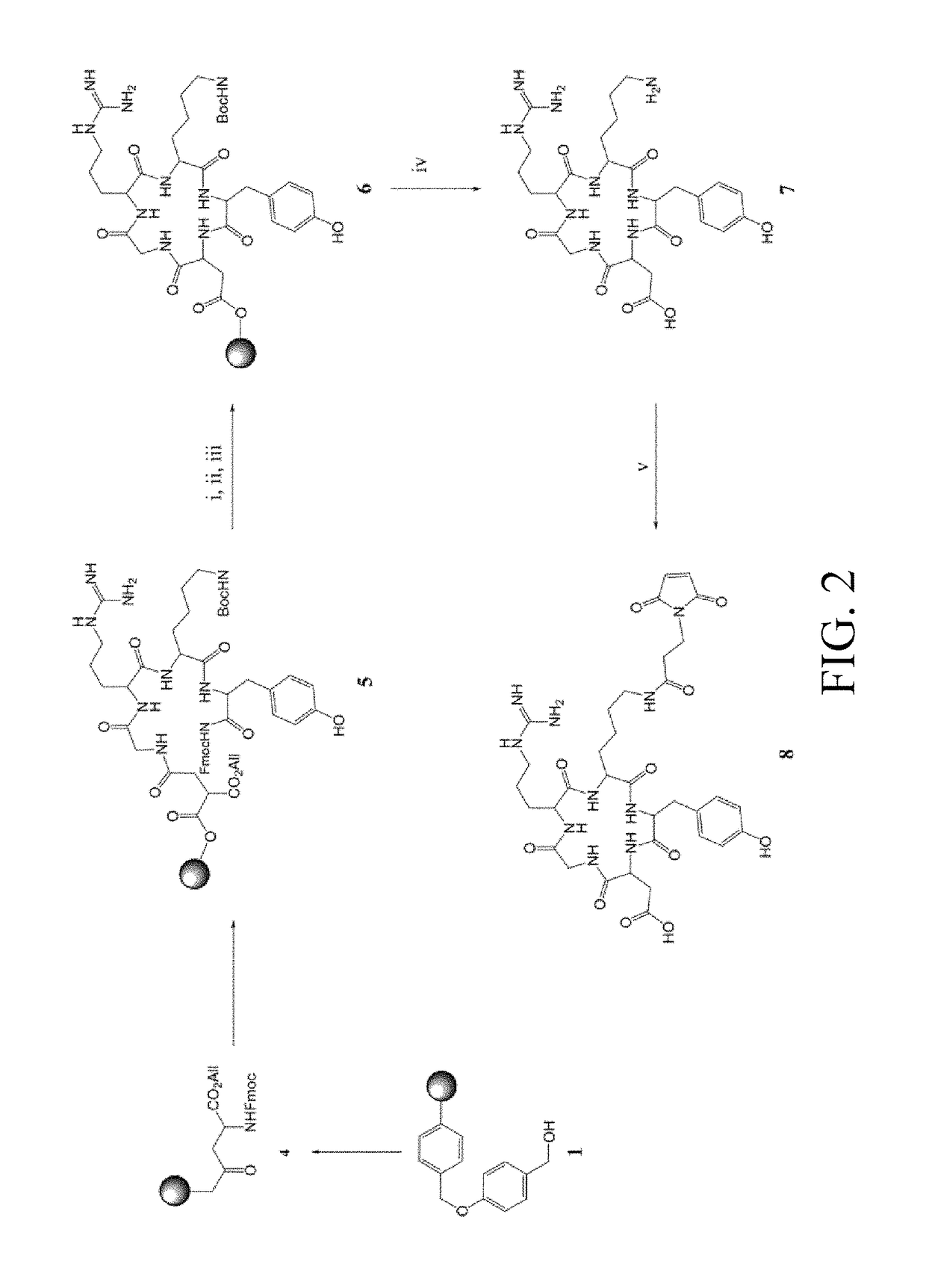 Bispecific peptide conjugate and radioactive bispecific peptide imaging agent