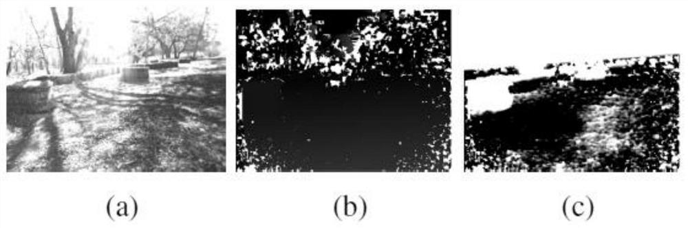 Dual-branch Outdoor Unstructured Terrain Segmentation Network Based on Parallax and Plane Fitting