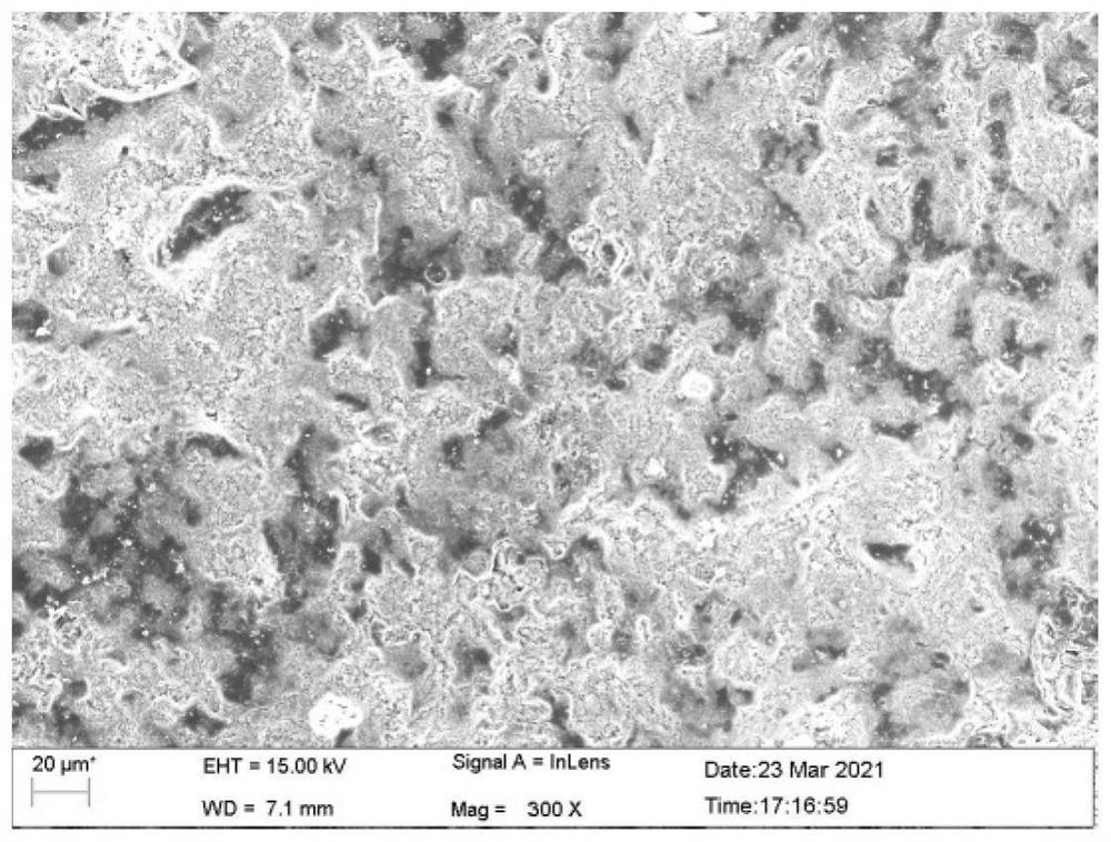 Preparation method of ceramic surface supported catalytic filler