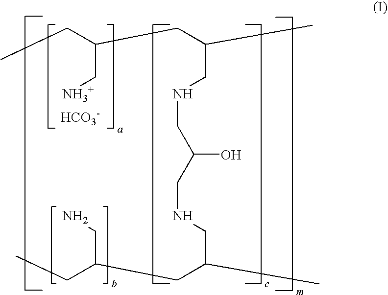 Process for Preparation of Sevelamer Carbonate