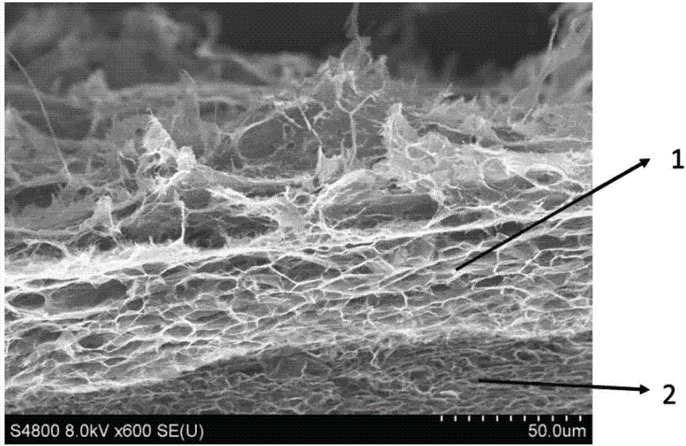 Flexible super capacitor electrode and preparation method thereof