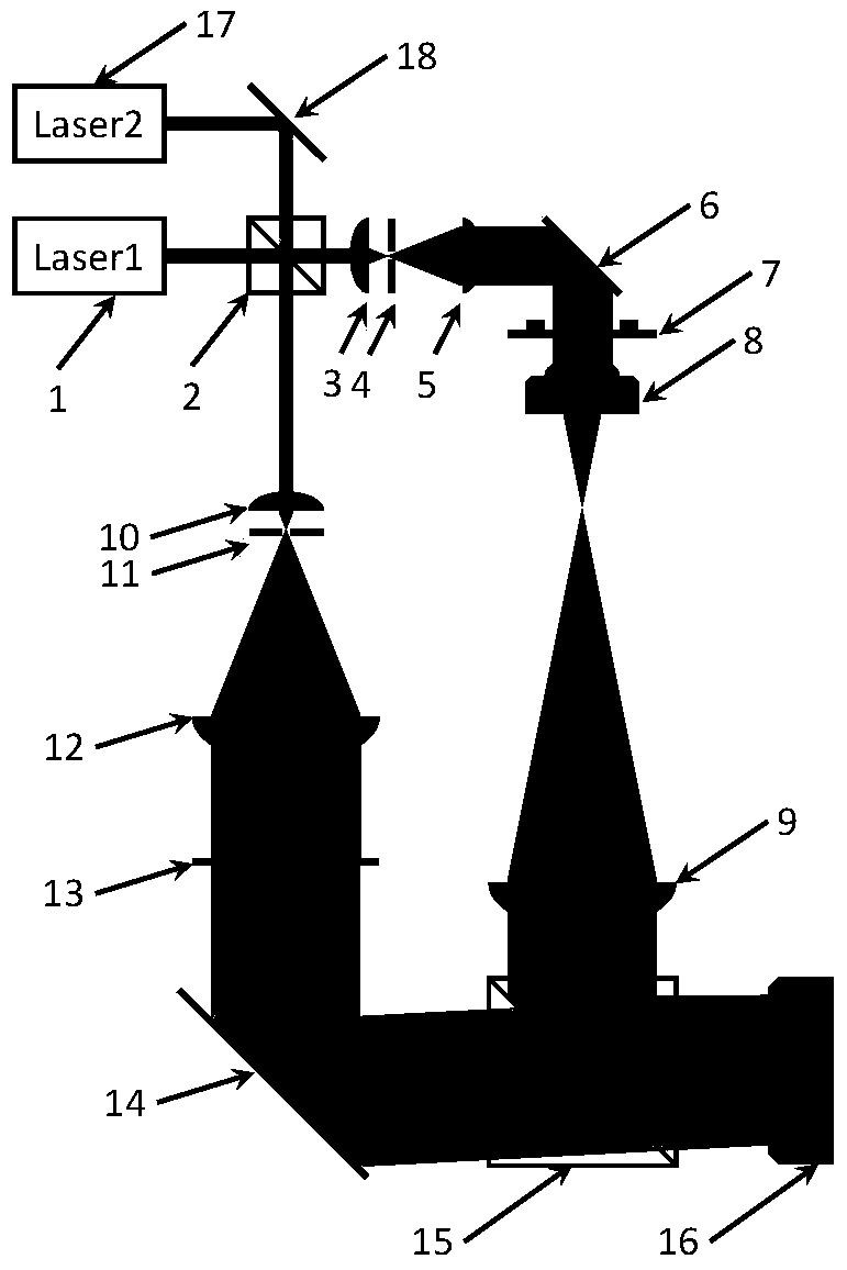 Transmission microscopic imaging device and method based on dual-wavelength digital holography technology