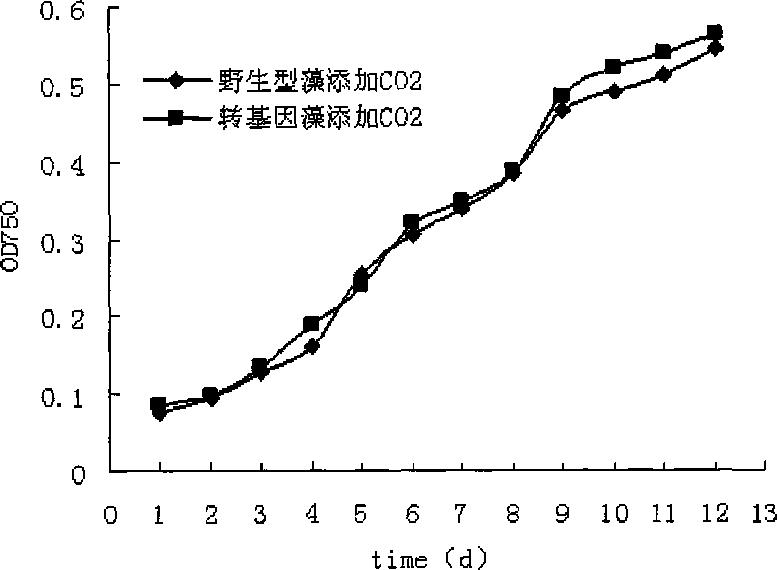 Scale culture and promotion technique for trans TNF-alpha gene blue algae growth and gene expression by light reactor
