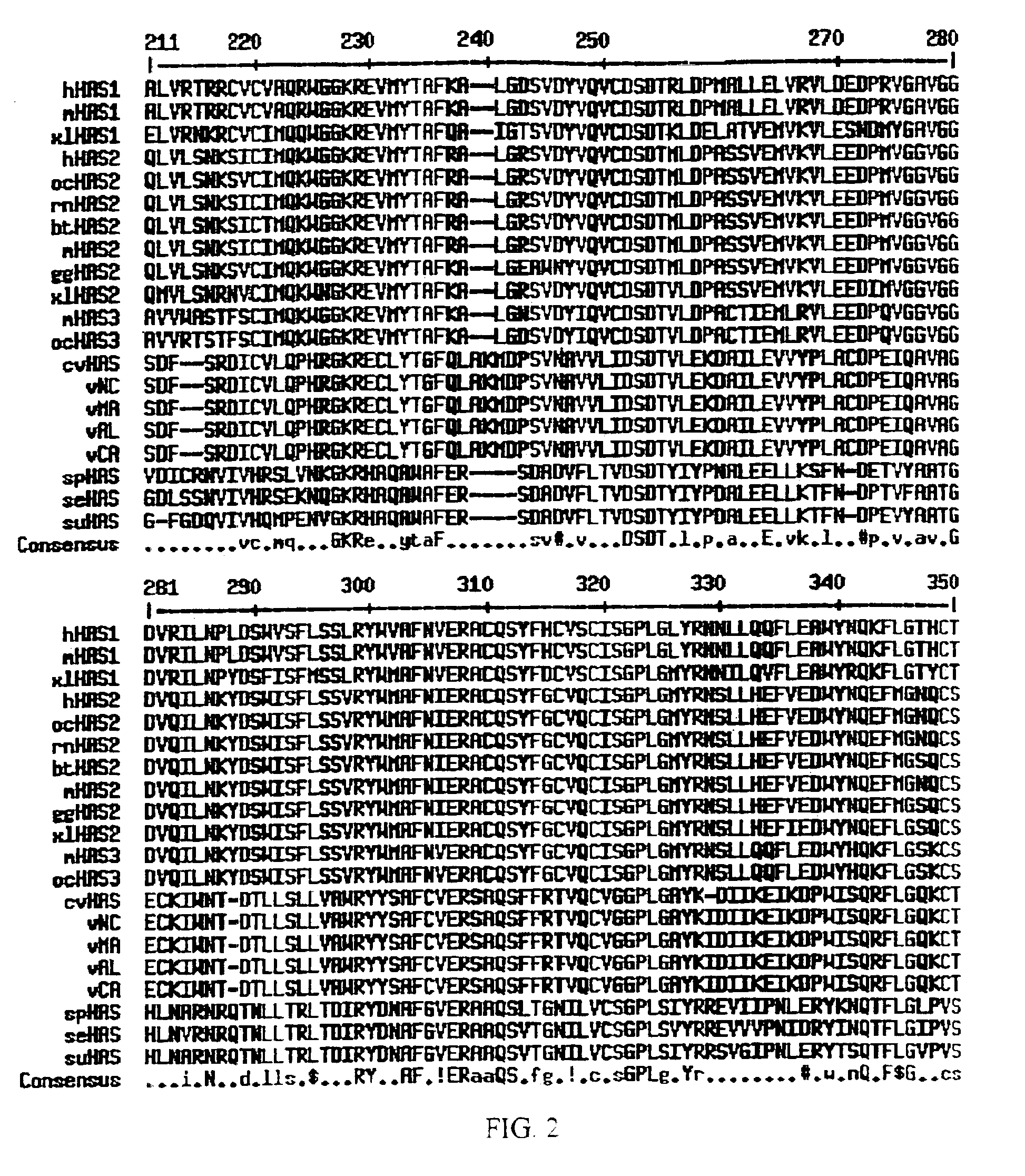 Hyaluronan synthase genes and expression thereof in bacillus hosts