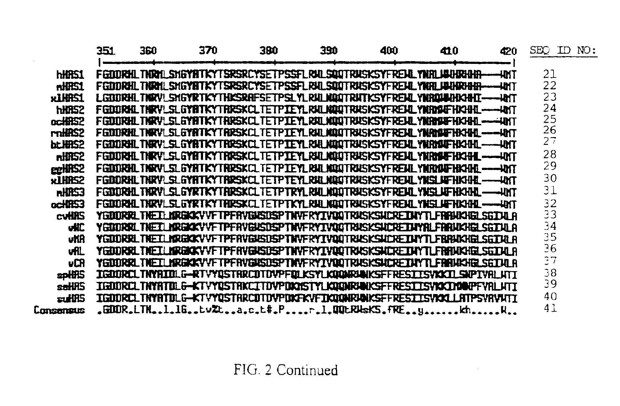 Hyaluronan synthase genes and expression thereof in bacillus hosts