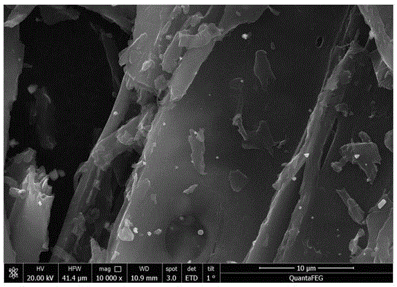 Biological charcoal loaded with iron/zinc nano-particles as well as preparation method and application thereof