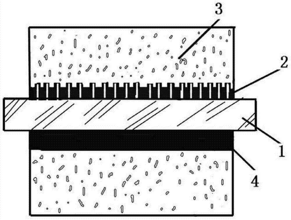 Membrane electrode of membrane electrode low-voltage electrolysis type ozone generator and manufacturing method for positive and negative electrodes of membrane electrode low-voltage electrolysis type ozone generator