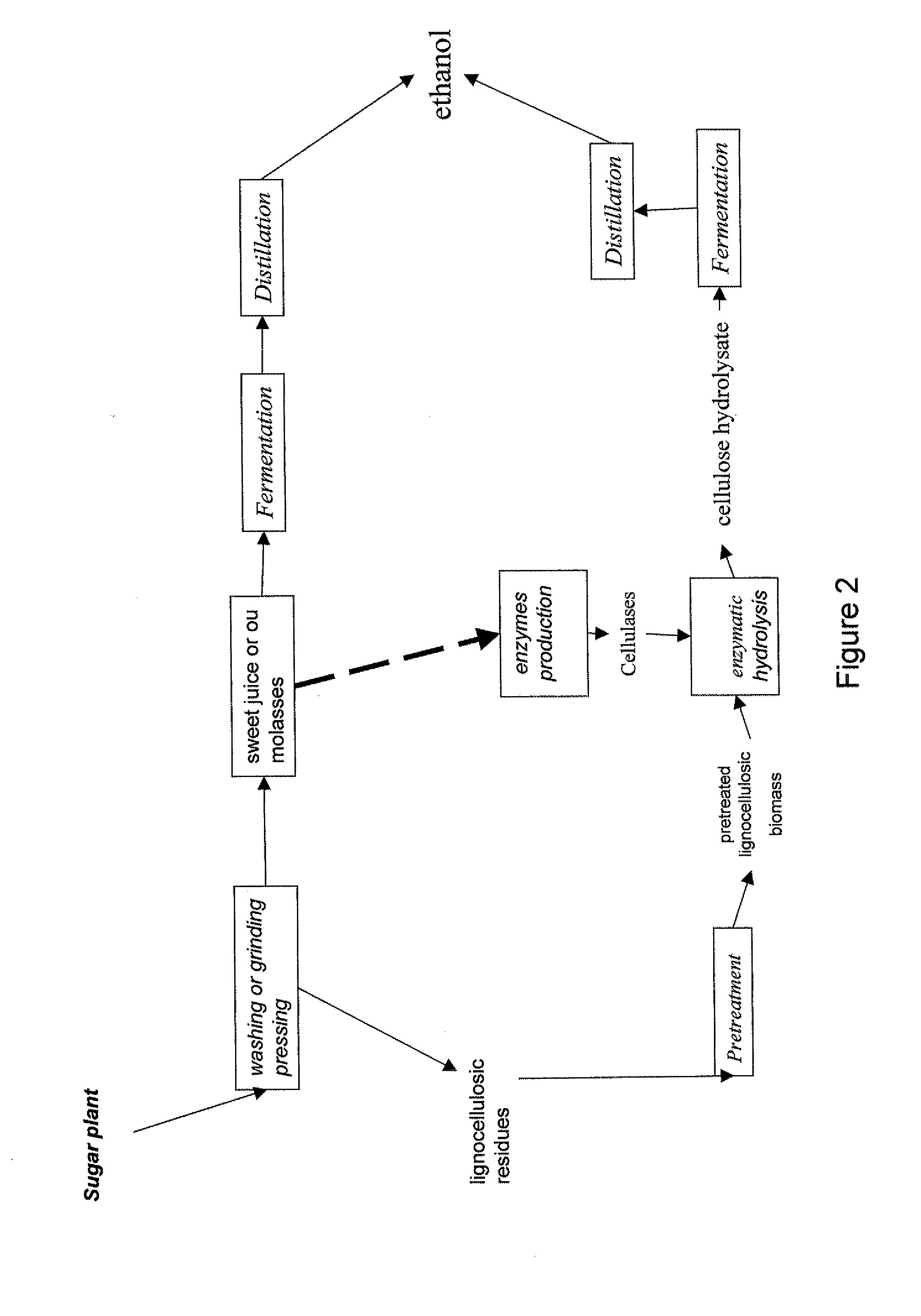 Method of producing alcohol in the biorefinery context