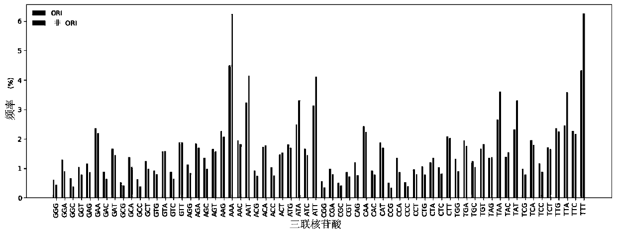 Saccharomyces cerevisiae DNA replication initial region identification method