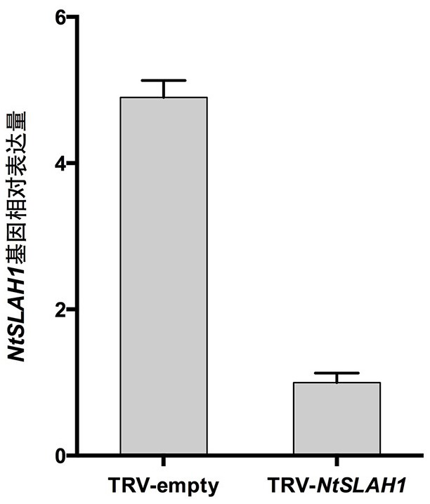 A tobacco slow anion channel protein ntslah1 and its application