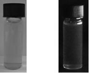Preparation technology of blue luminous titanium disulfide nanocrystals