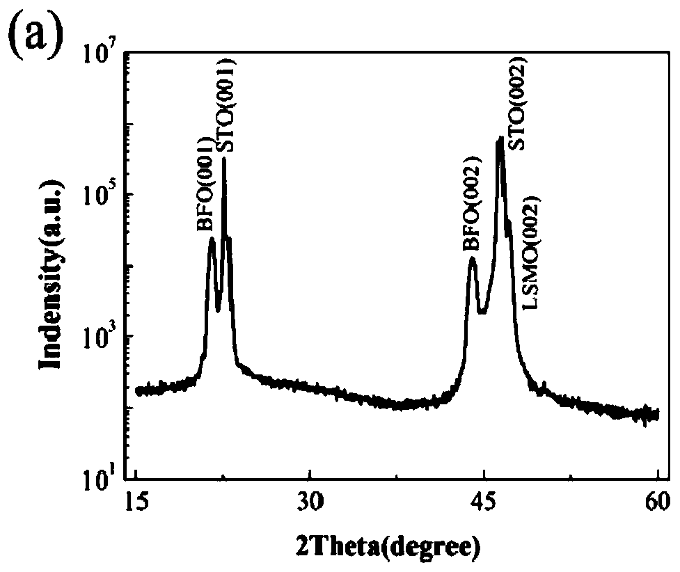 Ferroelectric diode memory and preparation method thereof