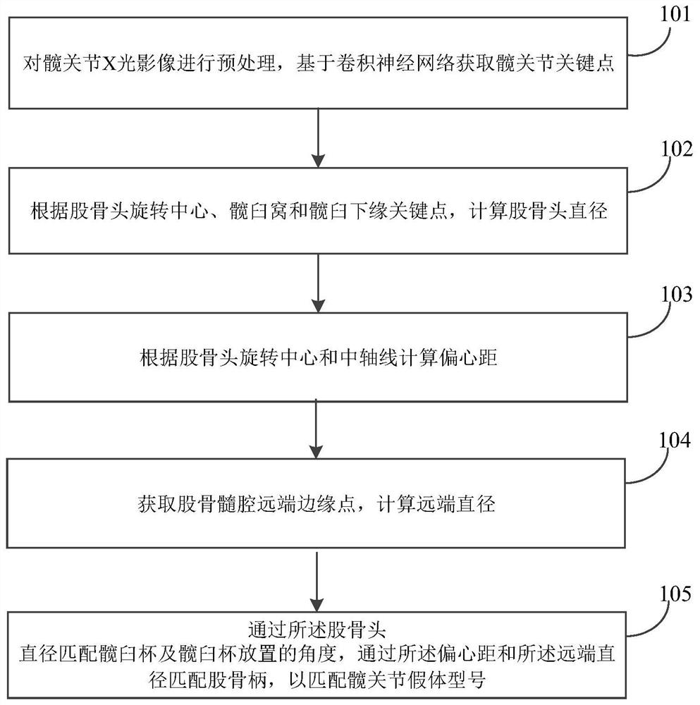 Artificial hip joint prosthesis type matching method and system