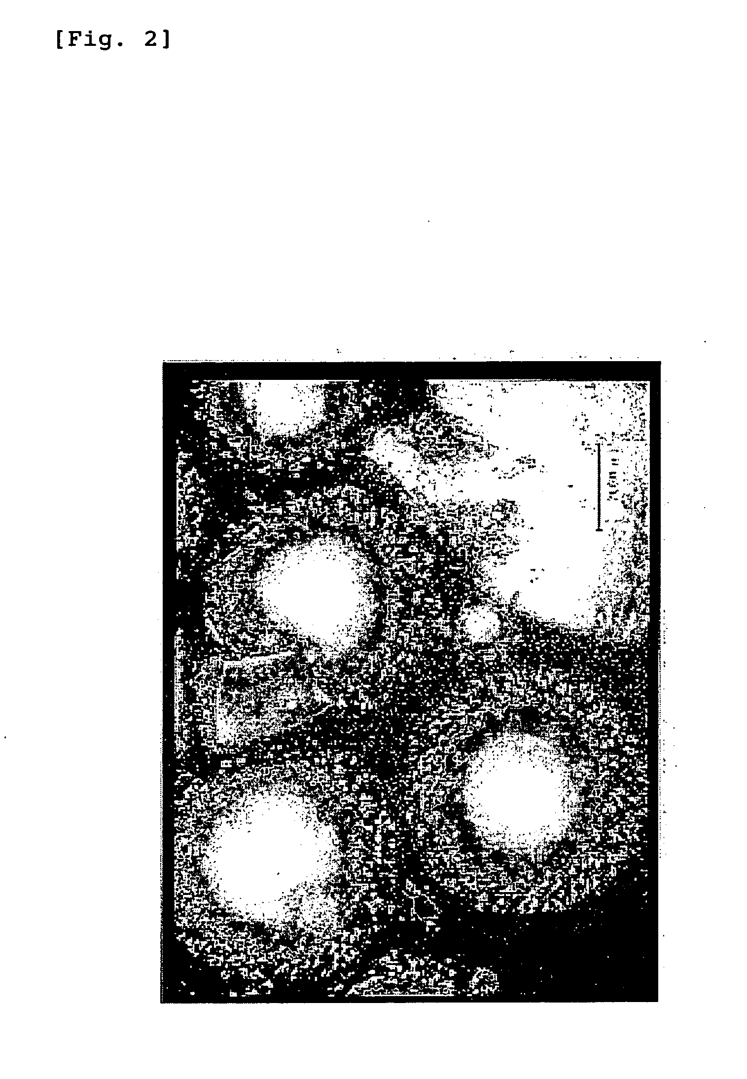 Hyaluronic acid modification products and drug carrier therefrom