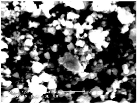 Tungsten copper alloy and its processing method and application