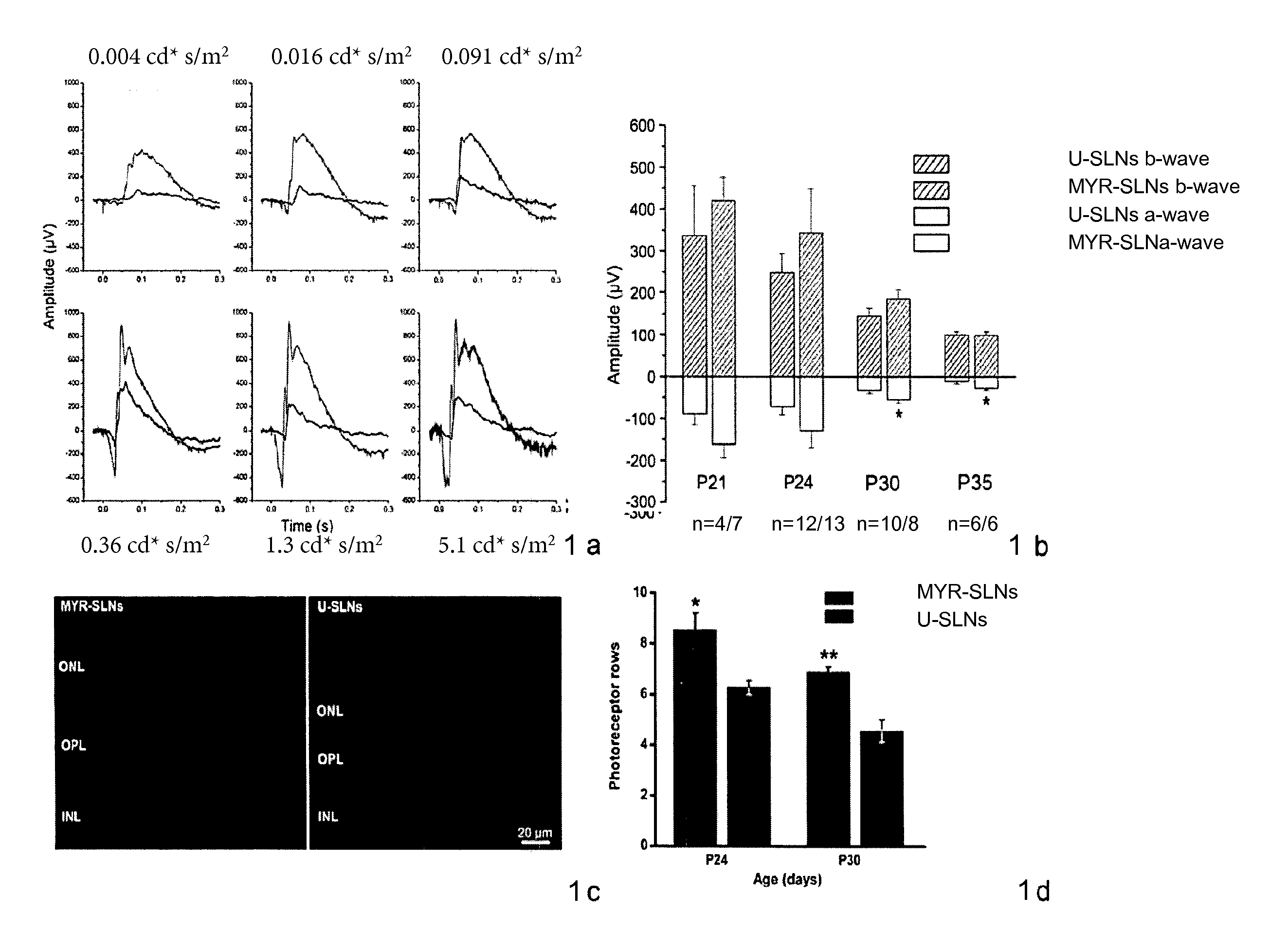 Use of serine palmitoyl transferase inhibitors for preventing and delaying inherited retinal degenerations and compositions thereof