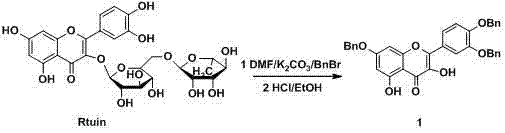 Preparation method and application of quercetin amide derivatives