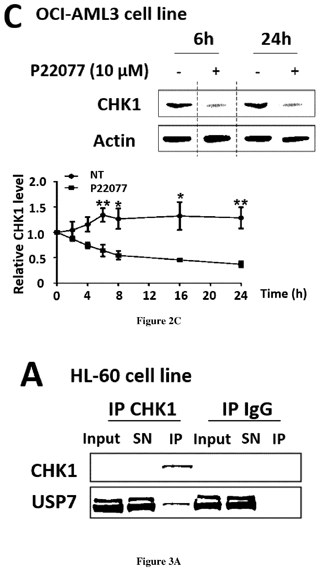 Use of usp7 inhibitors for the treatment of acute myeloid leukemia (AML)