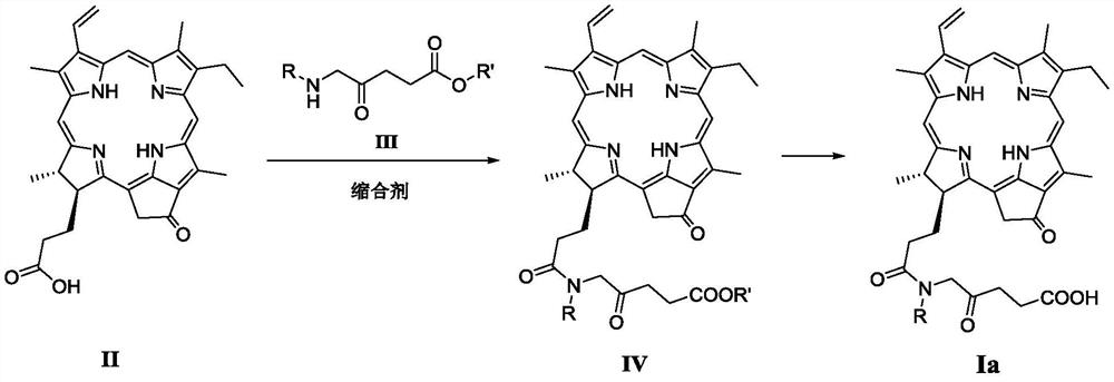 A Novel Pyropheophorbide A Derivative and Its Preparation Method and Application